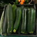 Green Zucchini