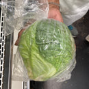 Green Cabbage