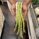 Asparagus