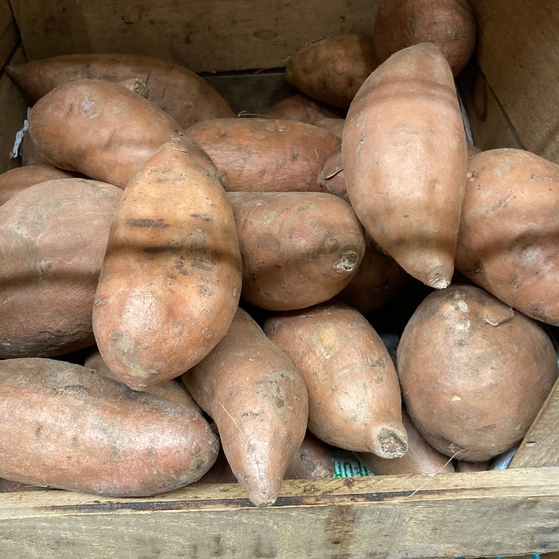Medium Sweet Potatoes