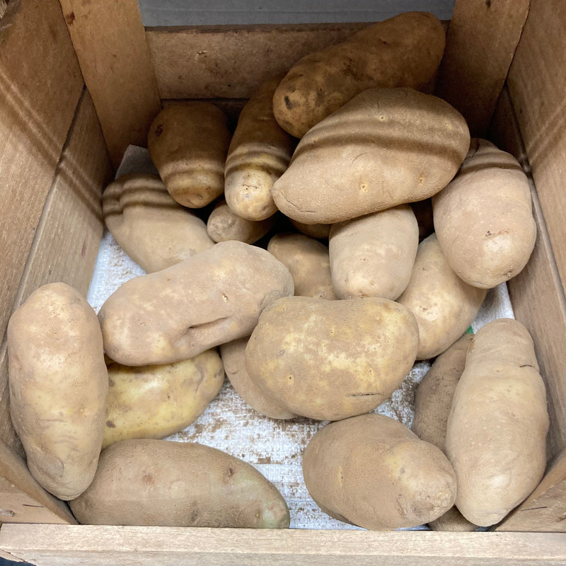 Baker's Potato