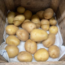 Yukon Gold Potatoes