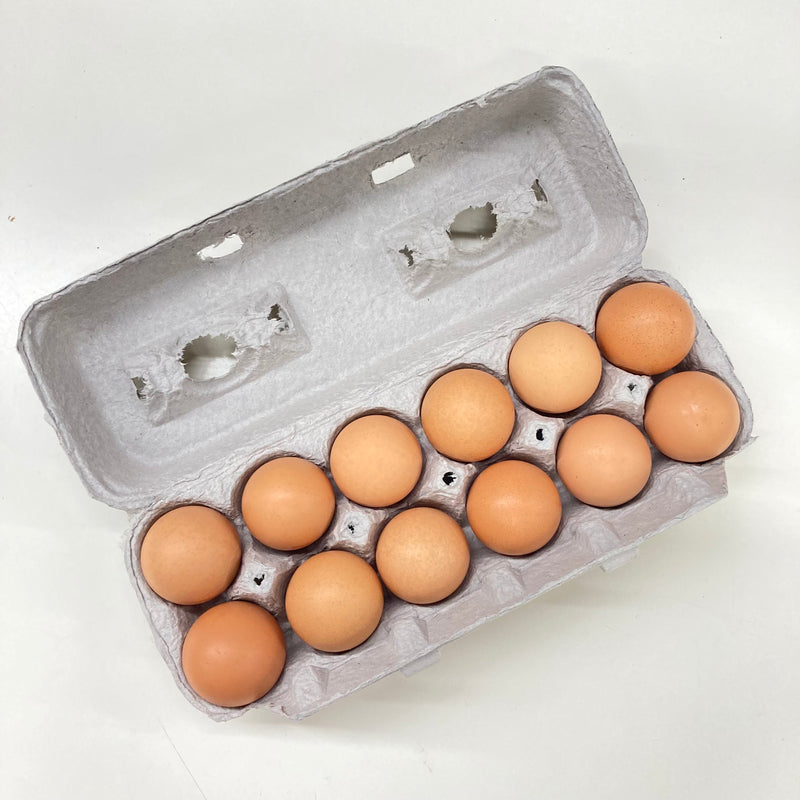 Dale Filbrun Farms Certified Organic Large Eggs