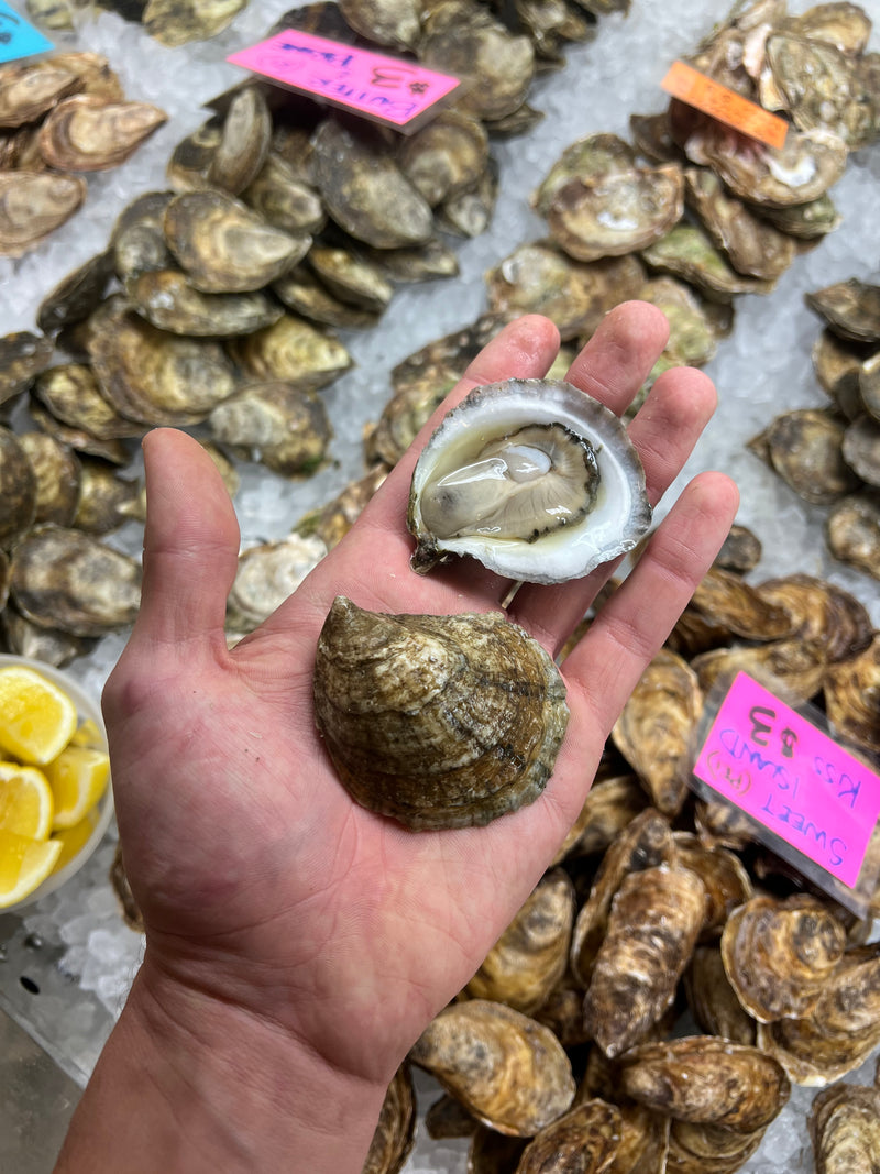 Fisherman's Pick Oysters