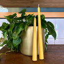 Beeswax Candles