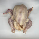 Whole Local Amish Chicken 3.5 lb