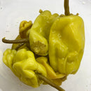 Pepperoncini Peppers