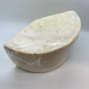 Black Truffle Goat Cheese