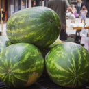 Large Seeded Watermelon
