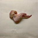 All Natural Wings Varieties