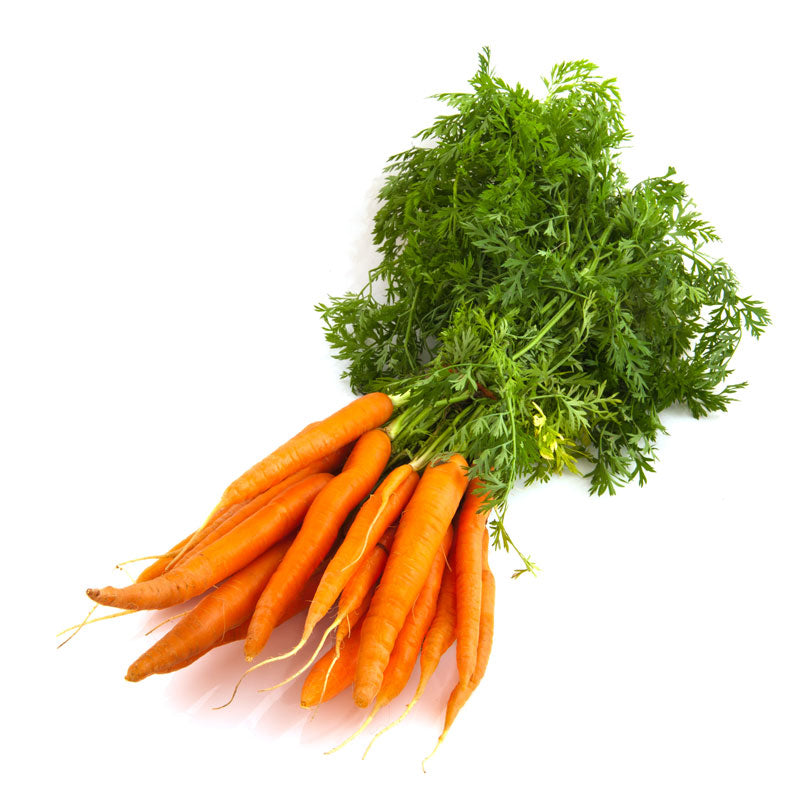 Carrots Jumbo