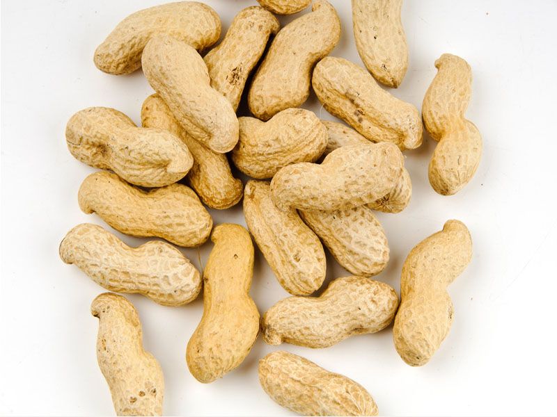 Bulk Peanuts