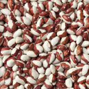Dried Bean Varieties