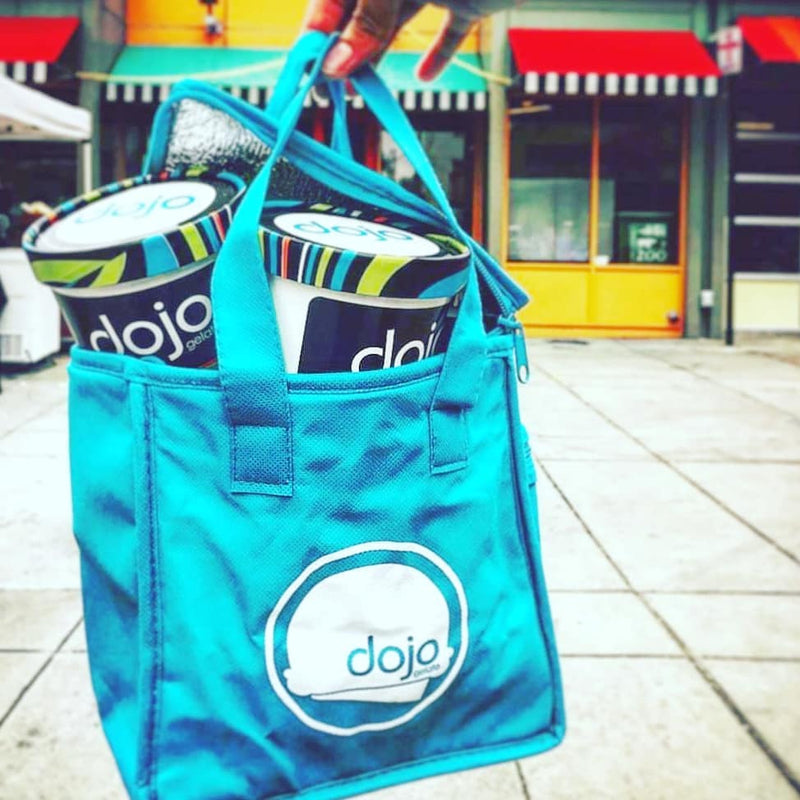Dojo Insulated Pint Bag