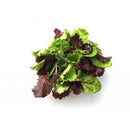 Fresh Spring Mix