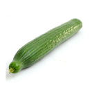 Cucumber Varieties