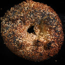 Pretzel Everything Bagel