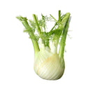 Fennel