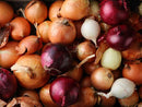 Onion Varieties