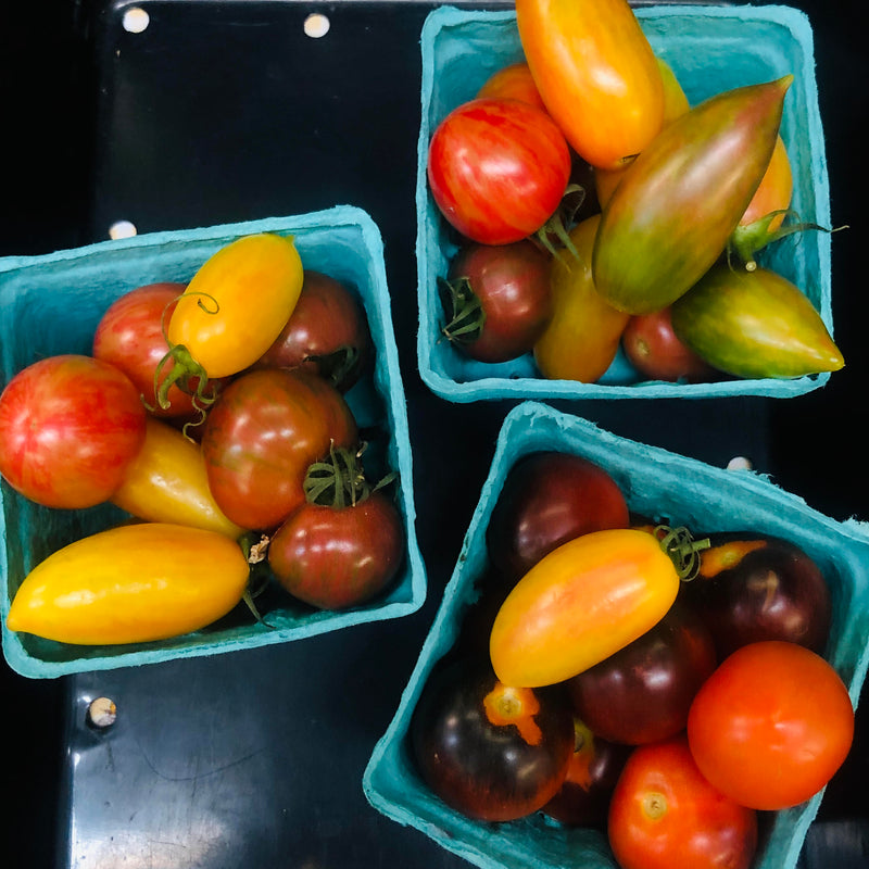 Salad Tomatoes