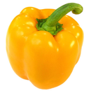 Bell Pepper Varieties